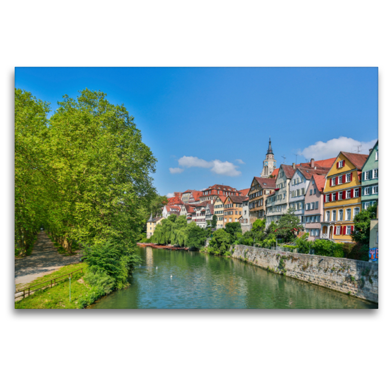 Tübinger Neckarfront mit Platanenallee