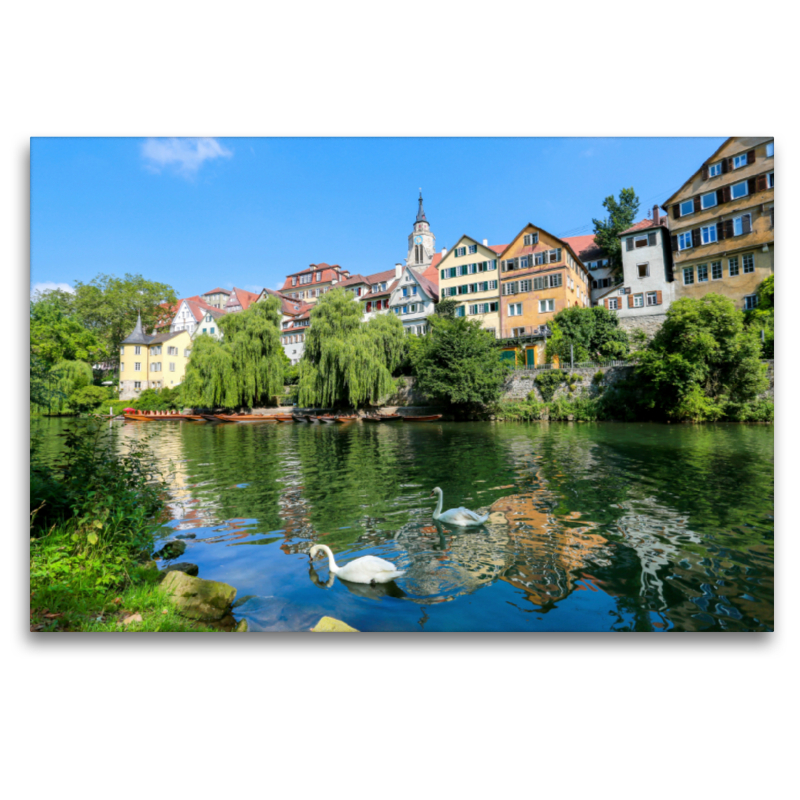 Tübinger Neckarfront mit Hölderlin-Turm und Stiftskirche