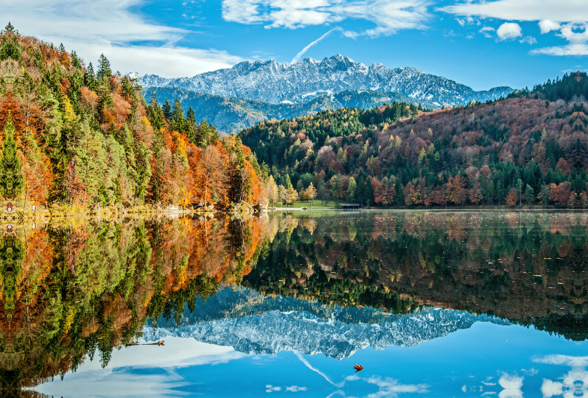 Wasserspiegelung am Hechtsee