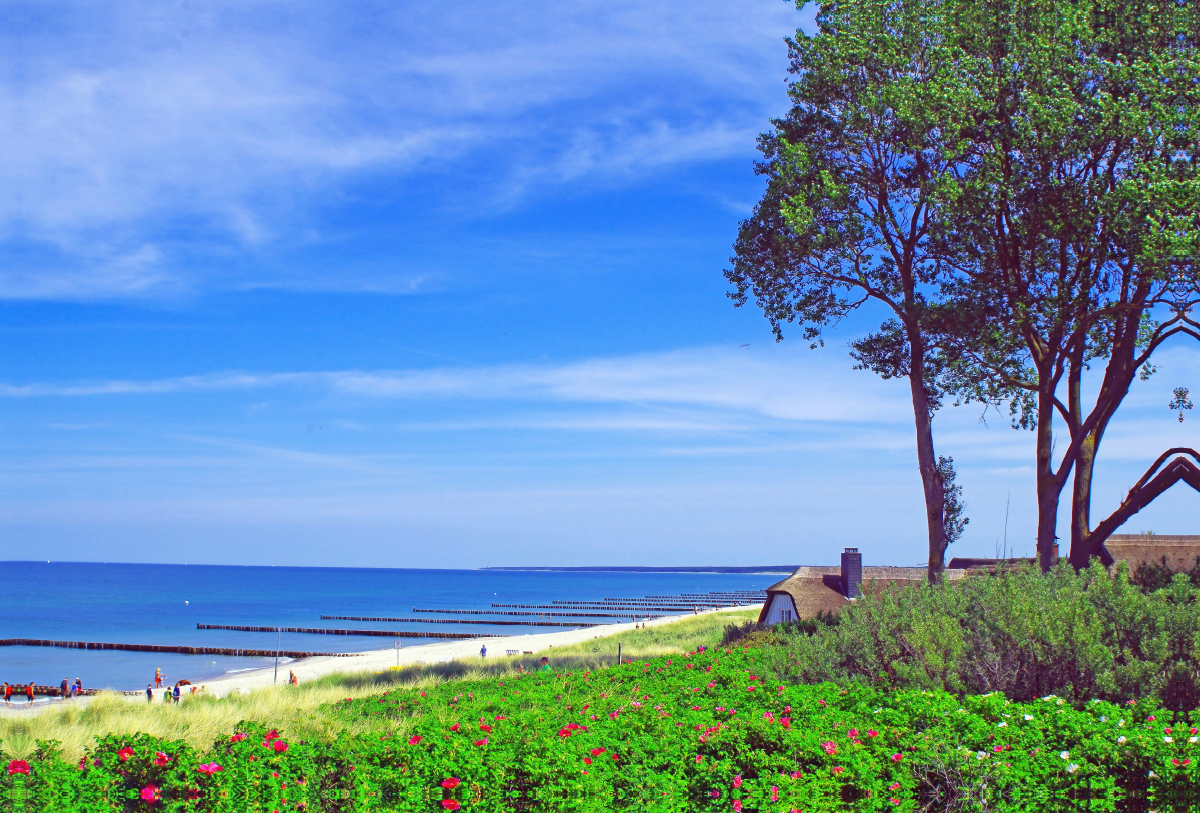 Strand bei Ahrenshoop