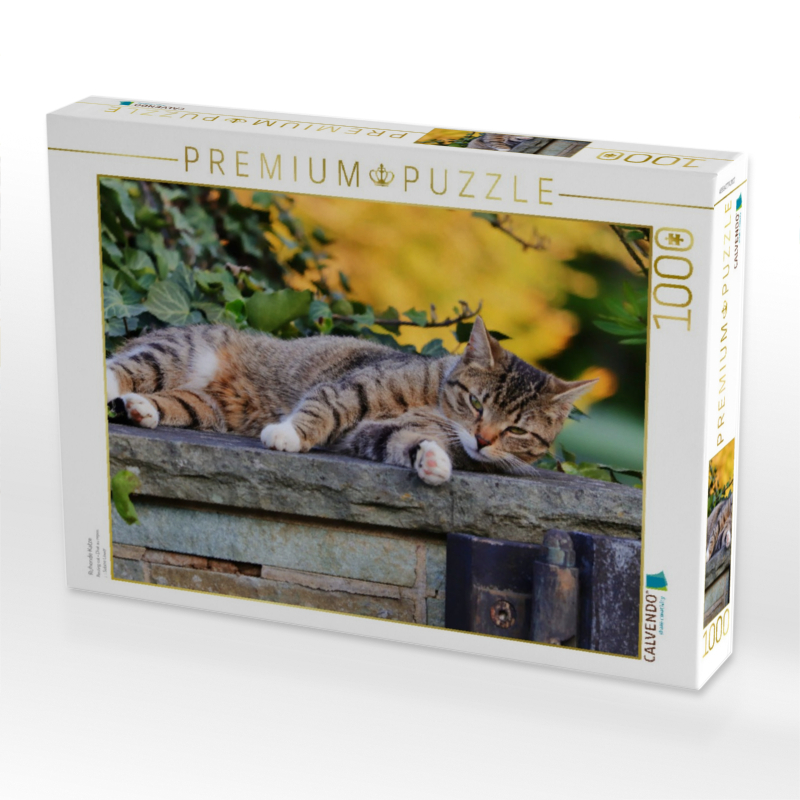 Ruhende Katze