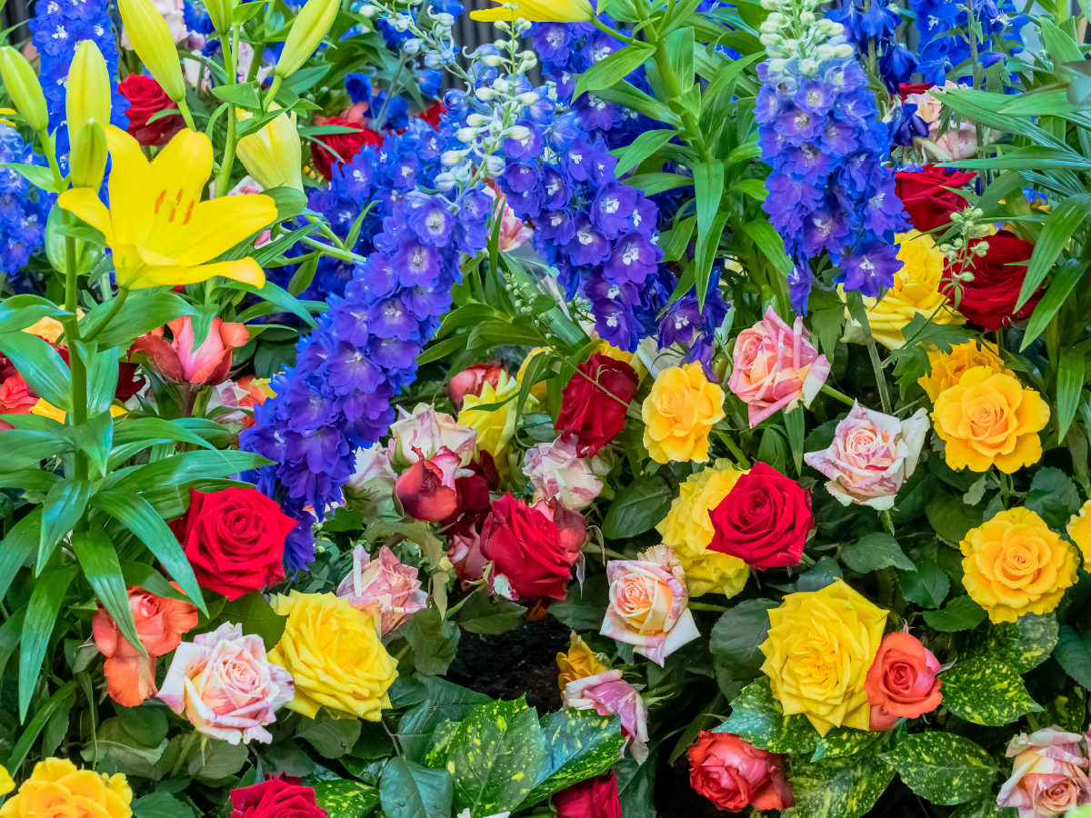 Strauß mit gelben, roten und weiß rosa farbenen Rosen mit blauem Rittersporn und gelben Lilien