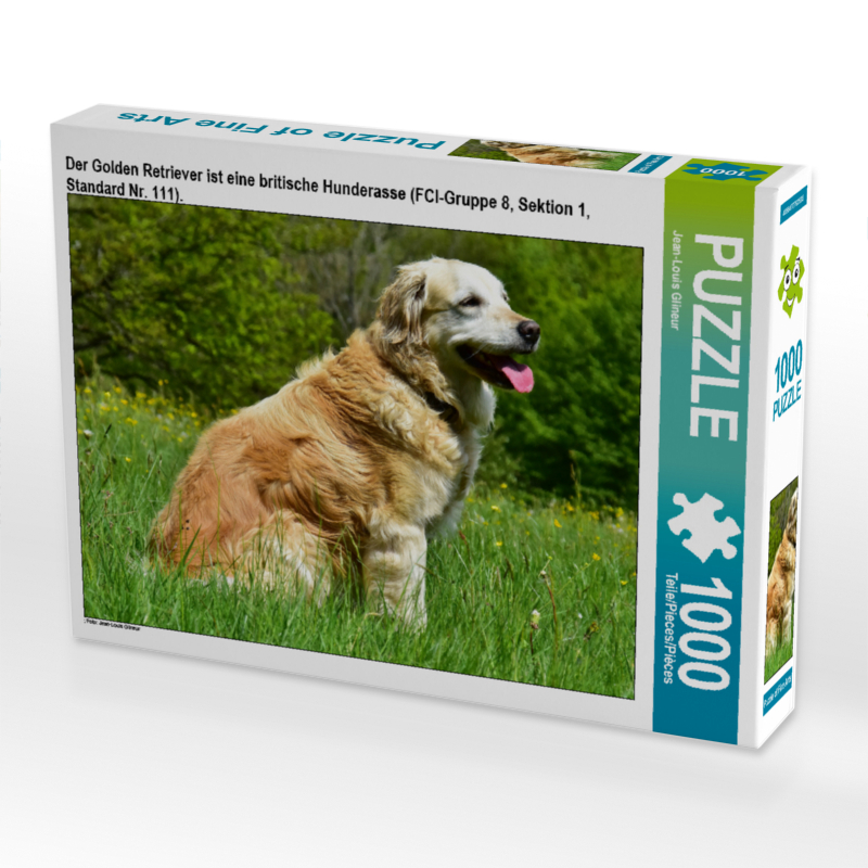 Der Golden Retriever ist eine britische Hunderasse (FCI-Gruppe 8, Sektion 1, Standard Nr. 111).