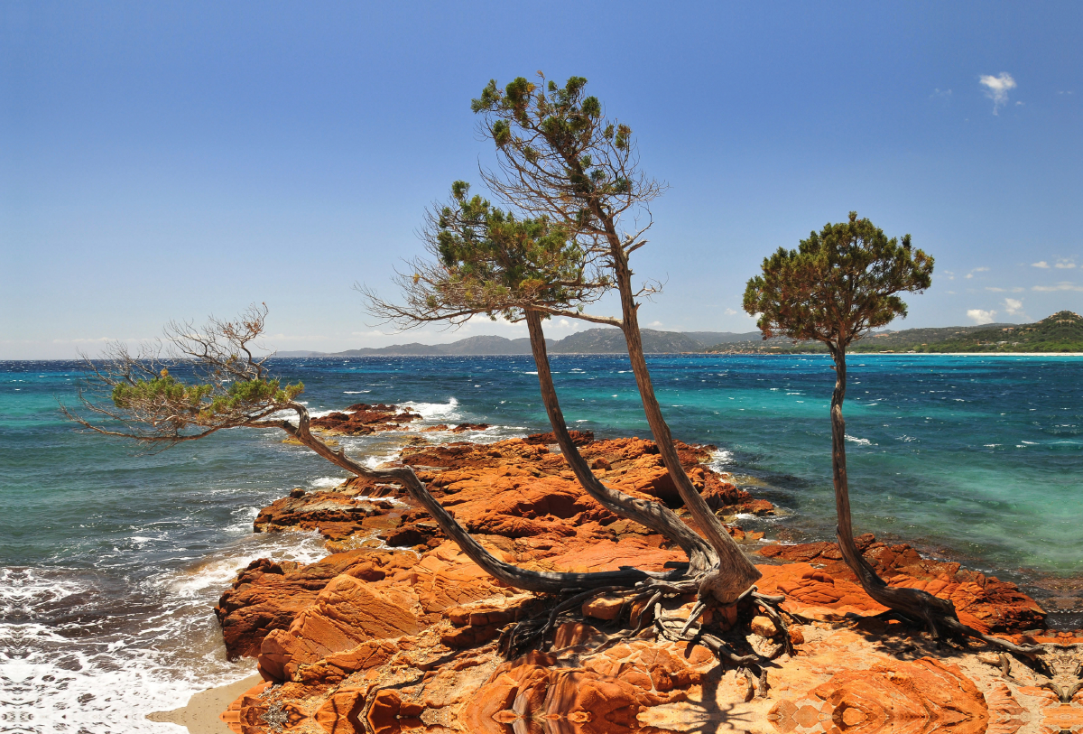 Strand von Palombaggia