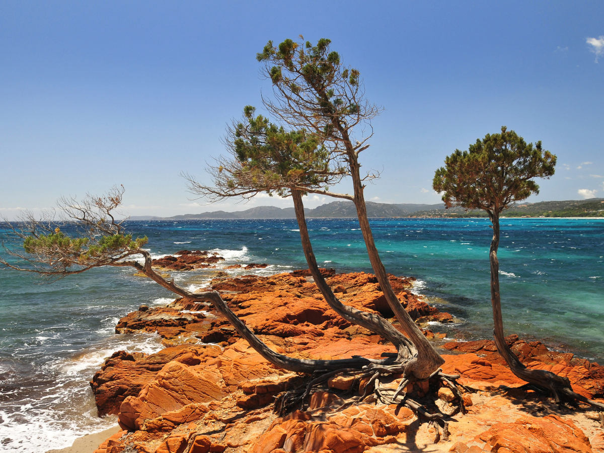 Strand von Palombaggia