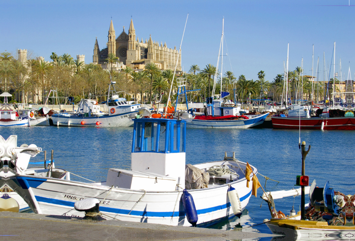 Fischerhafen Palma mit Kathedrale