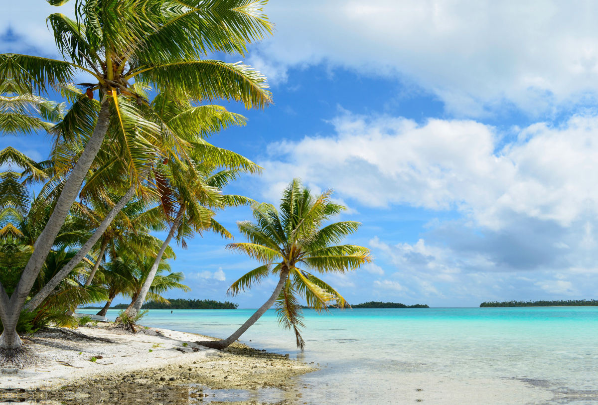 Strand mit Palmen