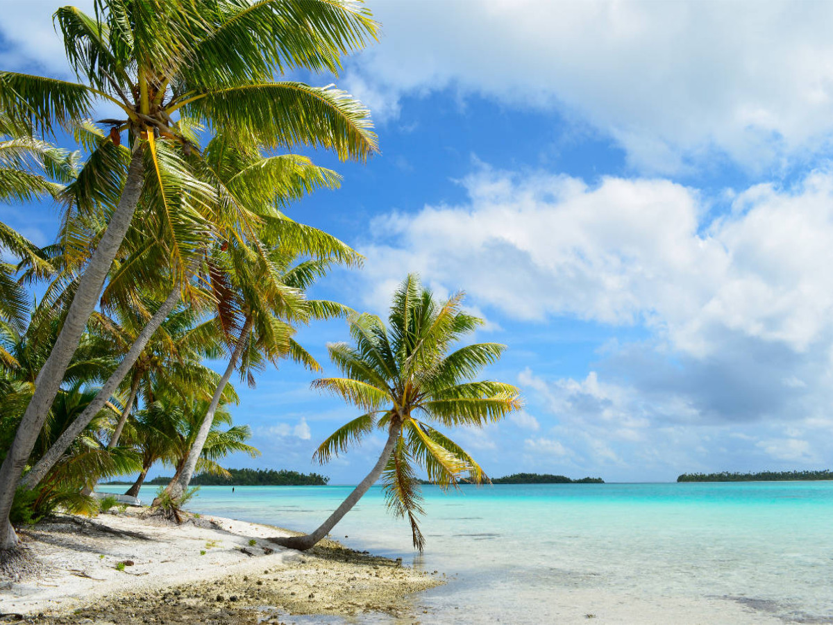 Strand mit Palmen
