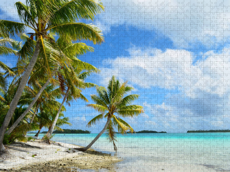 Strand mit Palmen