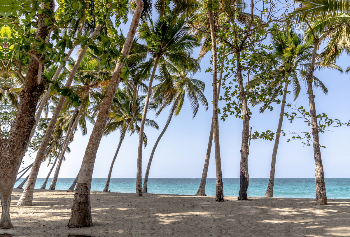 Playa Rogelio