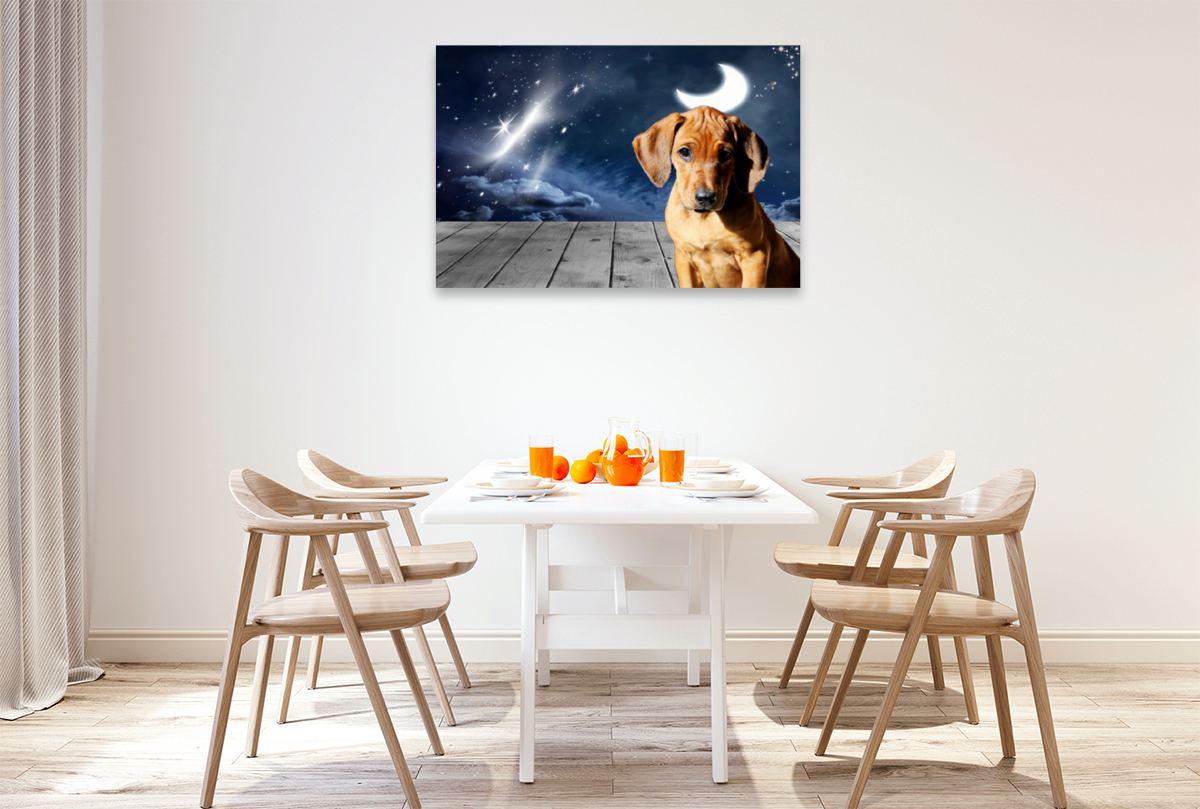 Rhodesian Ridgeback Mond und Sterne