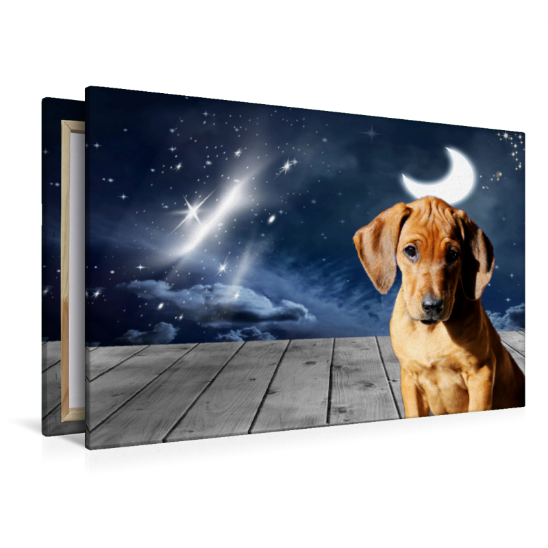 Rhodesian Ridgeback Mond und Sterne