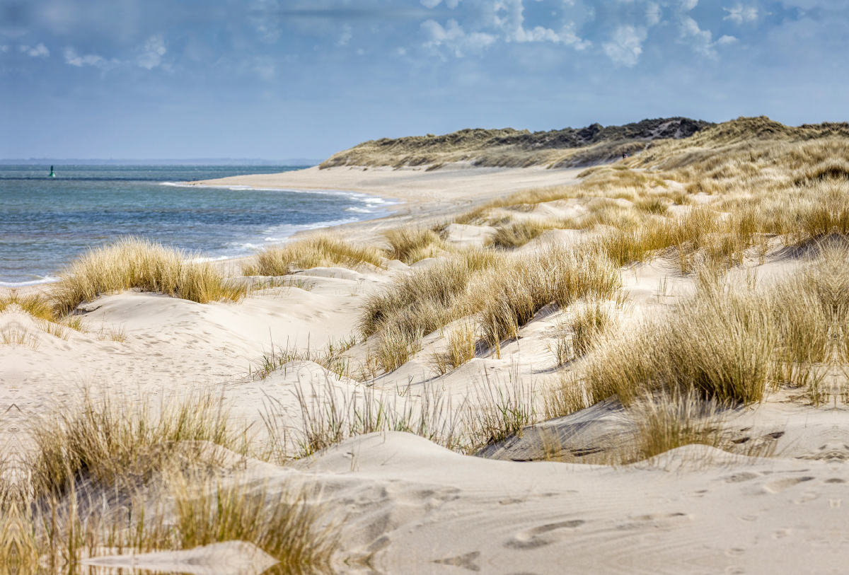 Dünenlandschaft im Naturschutzgebiet Ellenbogen auf Sylt