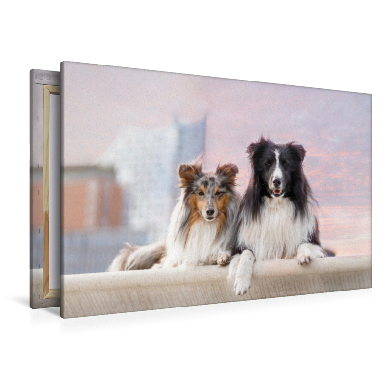 Ein Motiv aus dem Kalender Hamburger Hafencity - Unterwegs mit den Shelties Finn und Louis