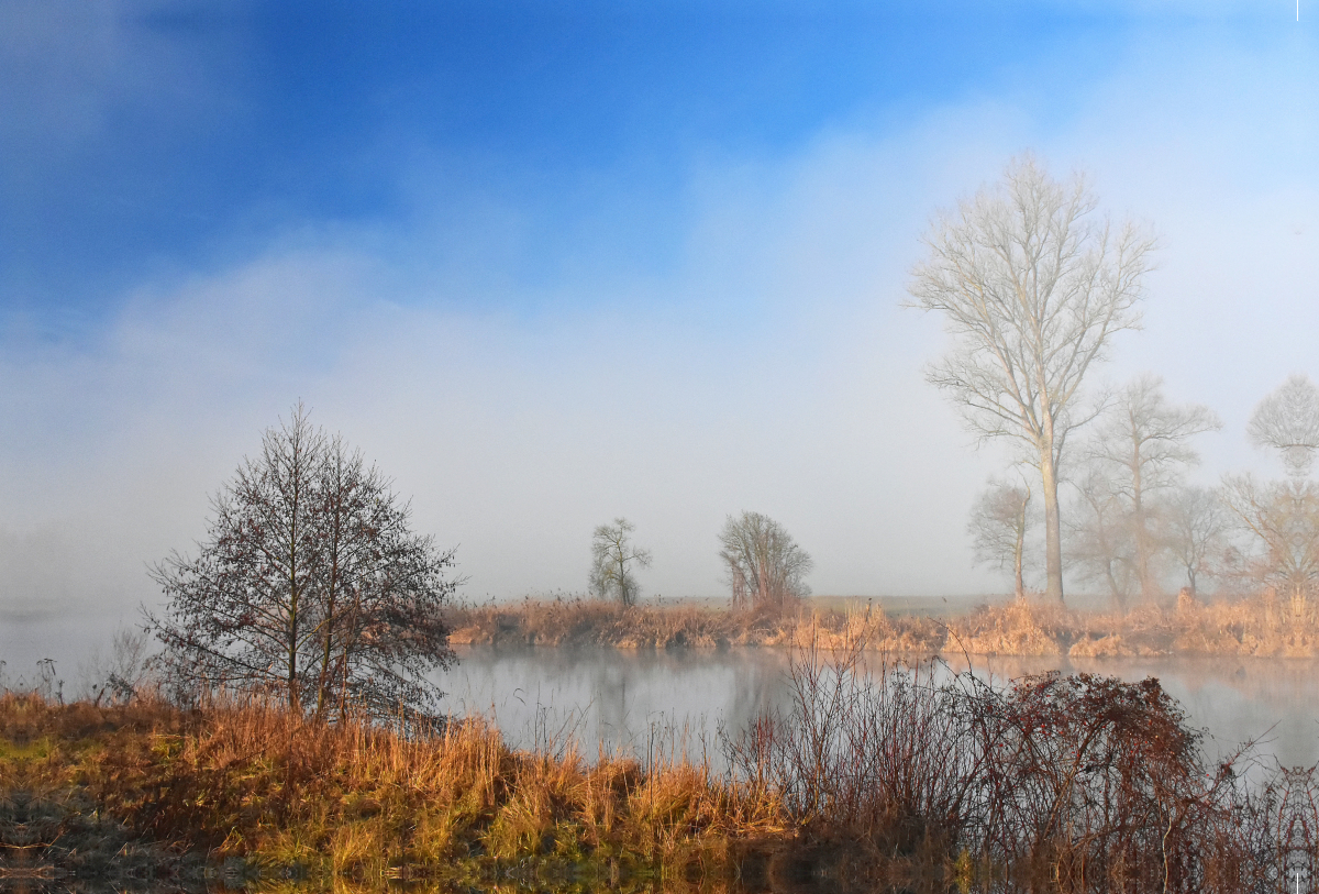 Nebel liegt über dem Ampertal