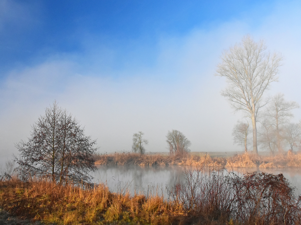 Nebel liegt über dem Ampertal