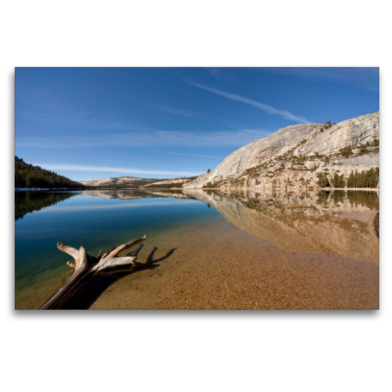 Yosemite  - Tenaya Lake