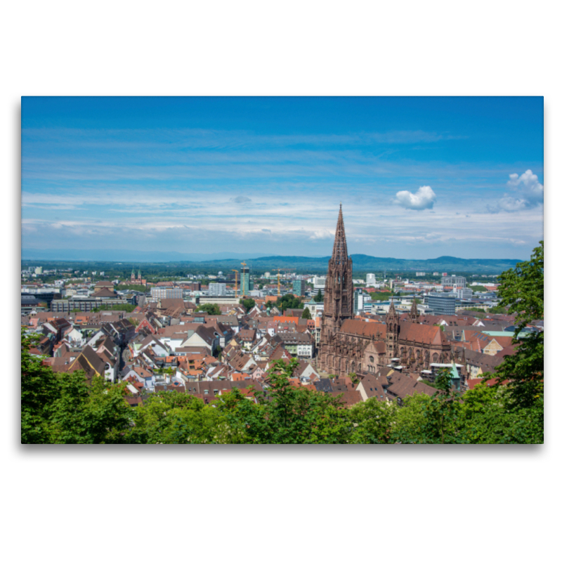 Freiburg Panorama