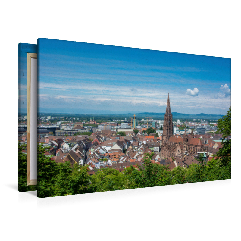 Freiburg Panorama