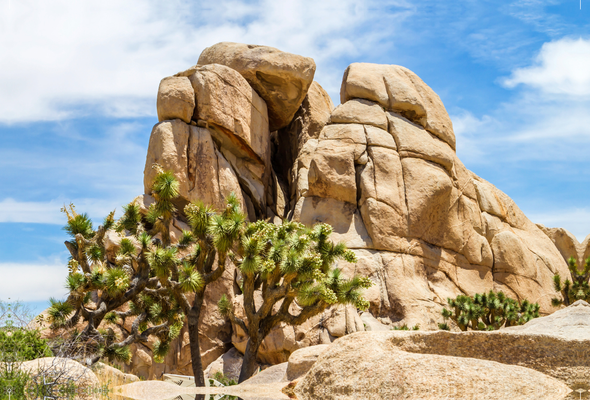 Beeindruckender Joshua Tree National Park