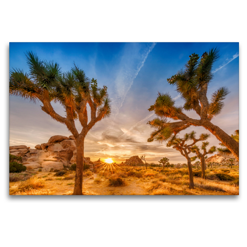 Herrlicher Sonnenuntergang im Joshua Tree National Park