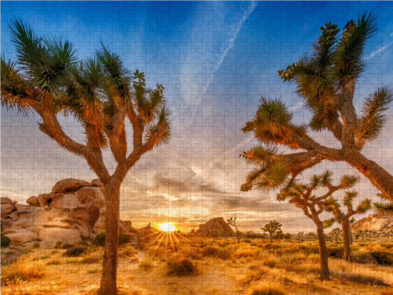 Herrlicher Sonnenuntergang im Joshua Tree National Park