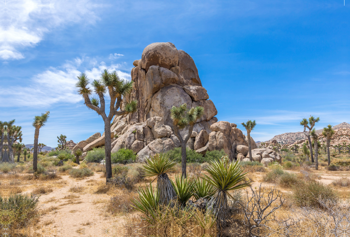 Roadside Rock, Joshua Tree National Park