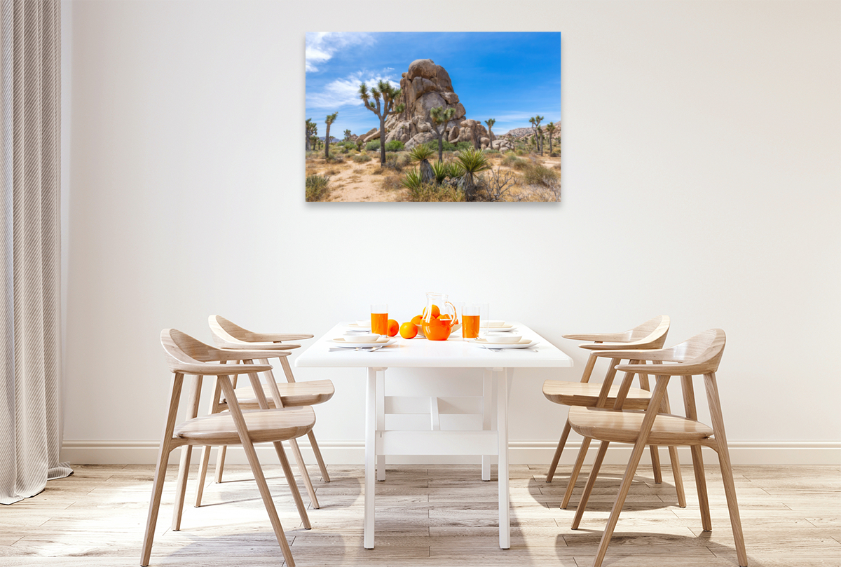 Roadside Rock, Joshua Tree National Park