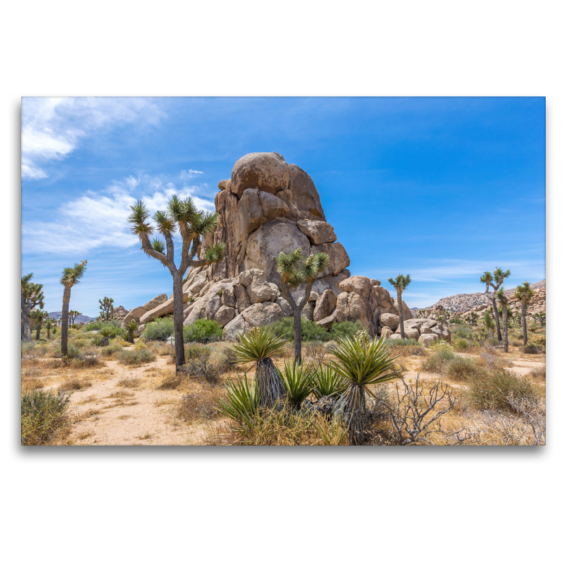 Roadside Rock, Joshua Tree National Park