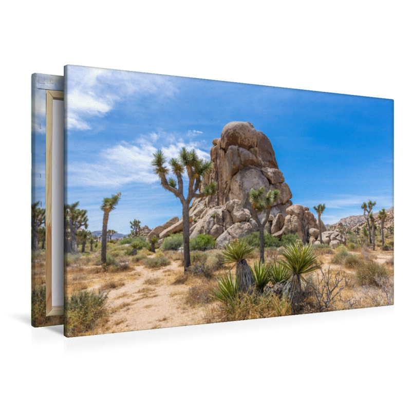 Roadside Rock, Joshua Tree National Park