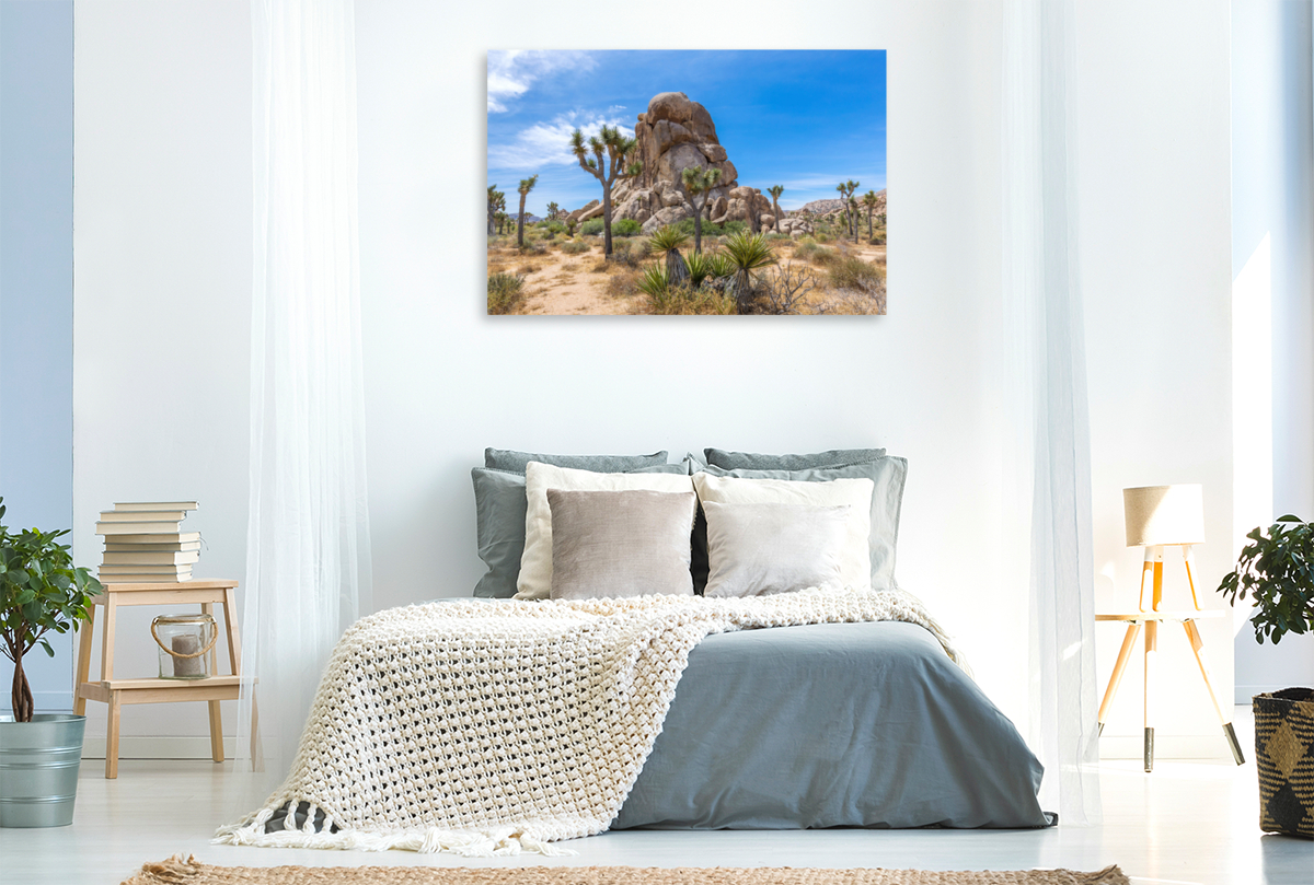 Roadside Rock, Joshua Tree National Park