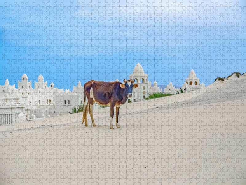 Sanddüne