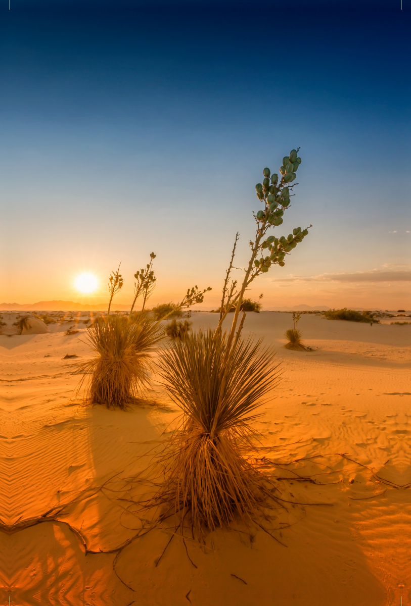 Sonnenuntergang über dem White Sands National Monument