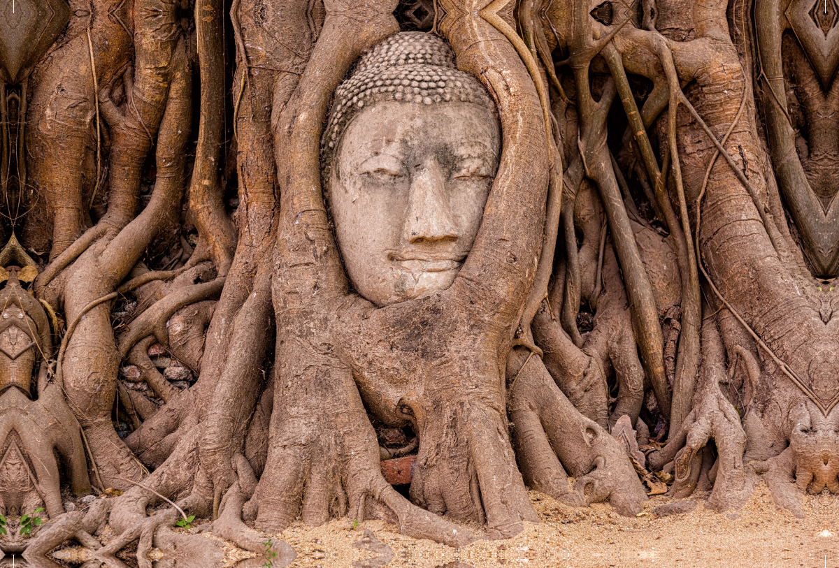 Ayutthaya