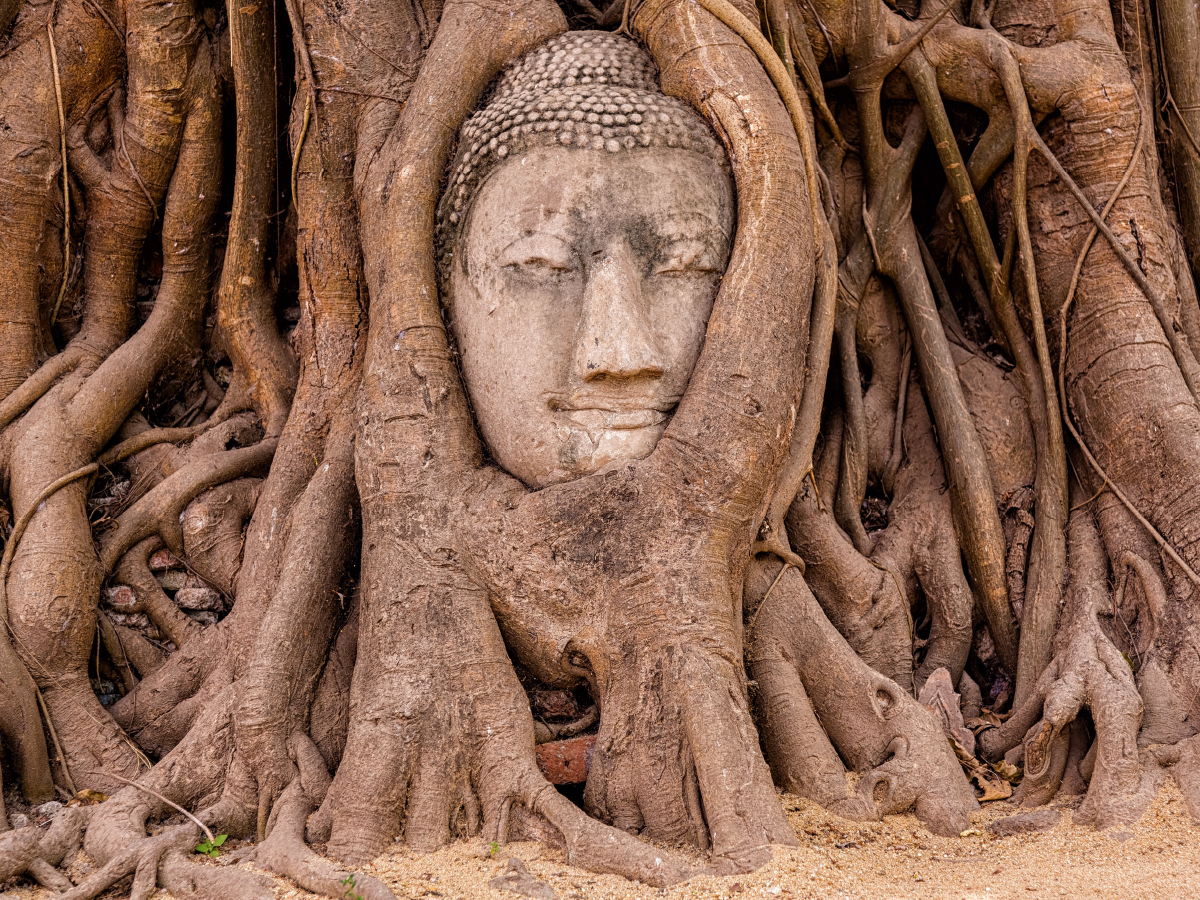 Ayutthaya