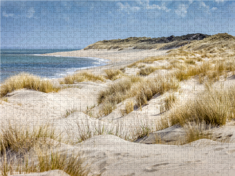 Dünenlandschaft im Naturschutzgebiet Ellenbogen auf Sylt