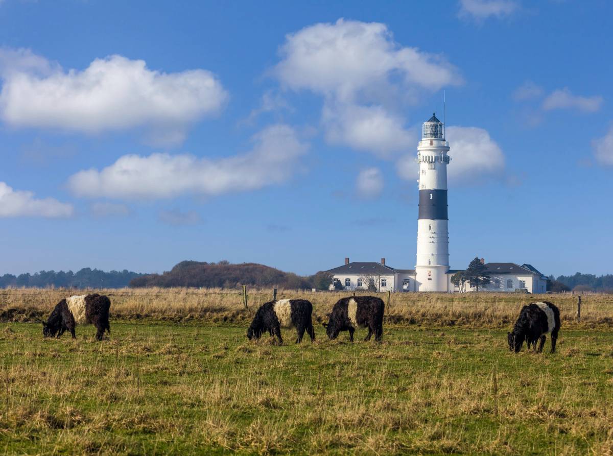 Leuchtturm Langer Christian auf Sylt