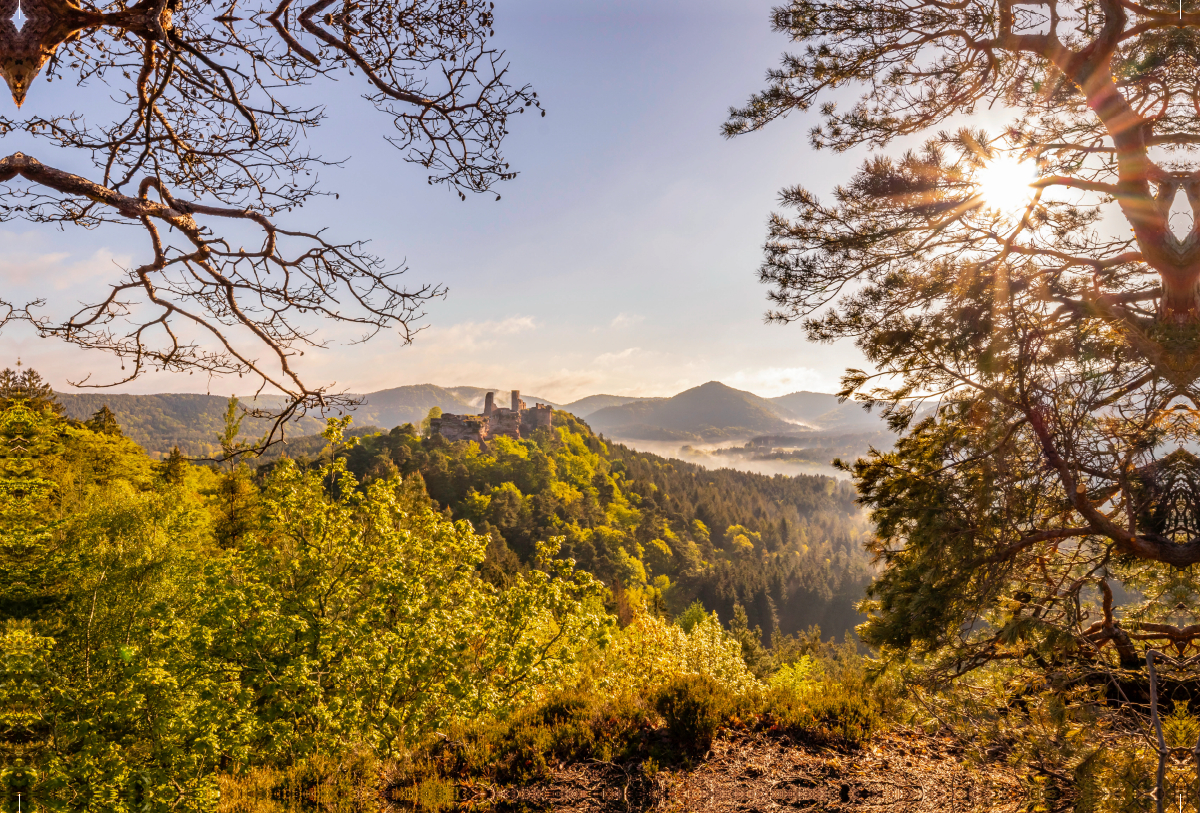 Blick vom Haferfels auf die Dahner Burgengruppe