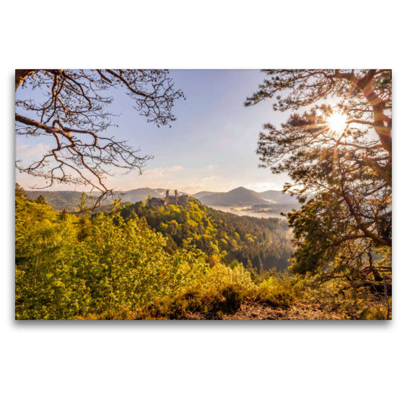 Blick vom Haferfels auf die Dahner Burgengruppe