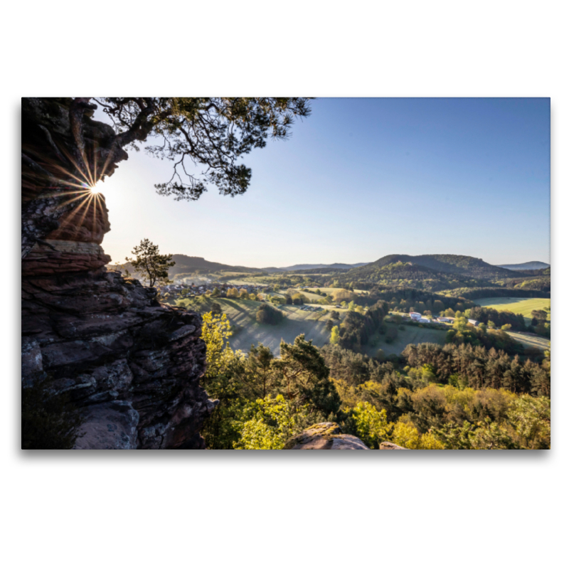 Blick vom Sprinzelfelsen auf Busenberg