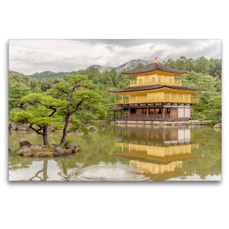 Goldener Pavillon Tempel: Kinkaku-ji Kyoto