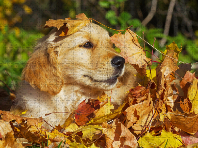 Herbstfarben