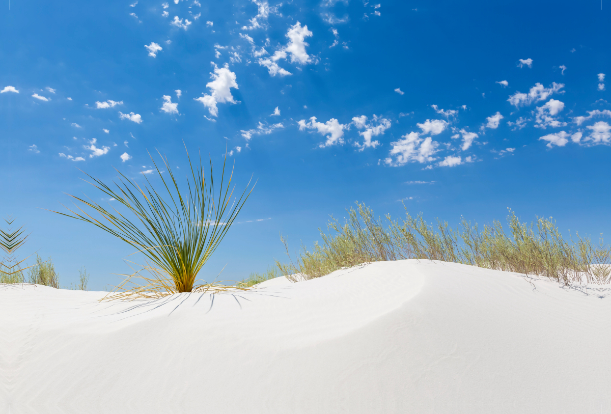 White Sands Impression