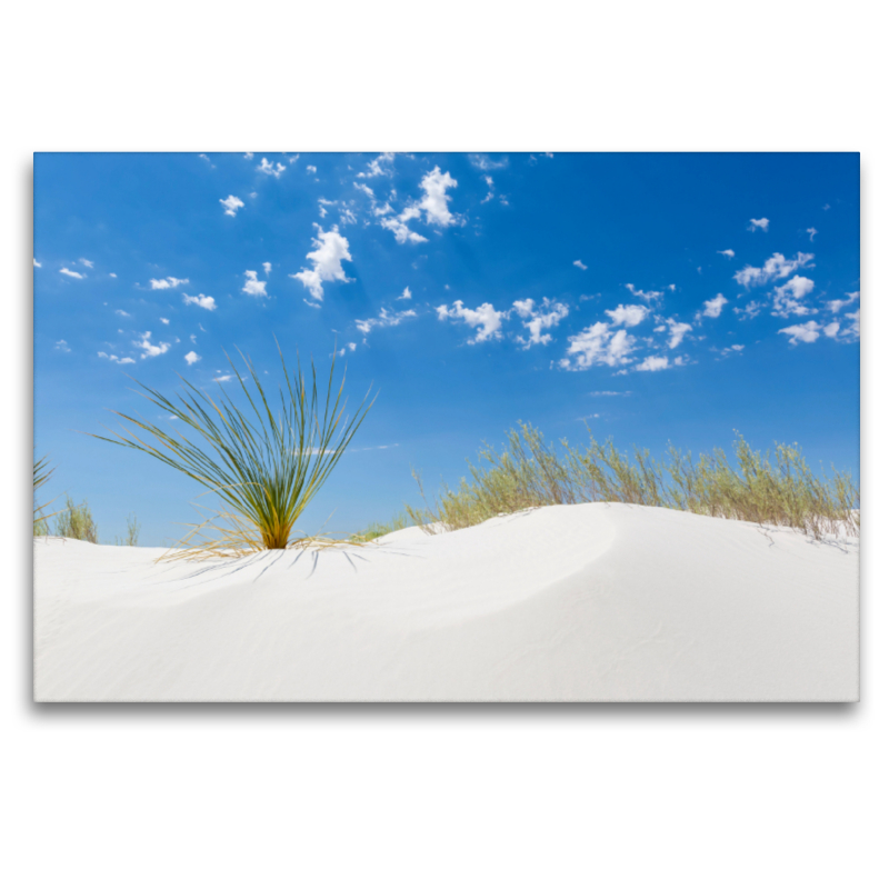 White Sands Impression