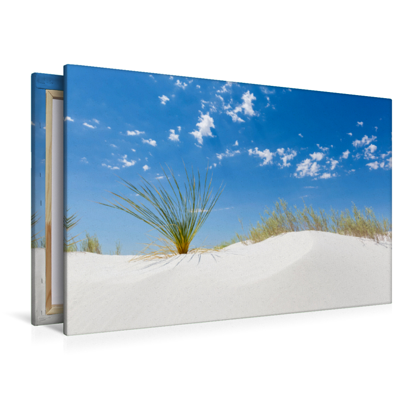 White Sands Impression