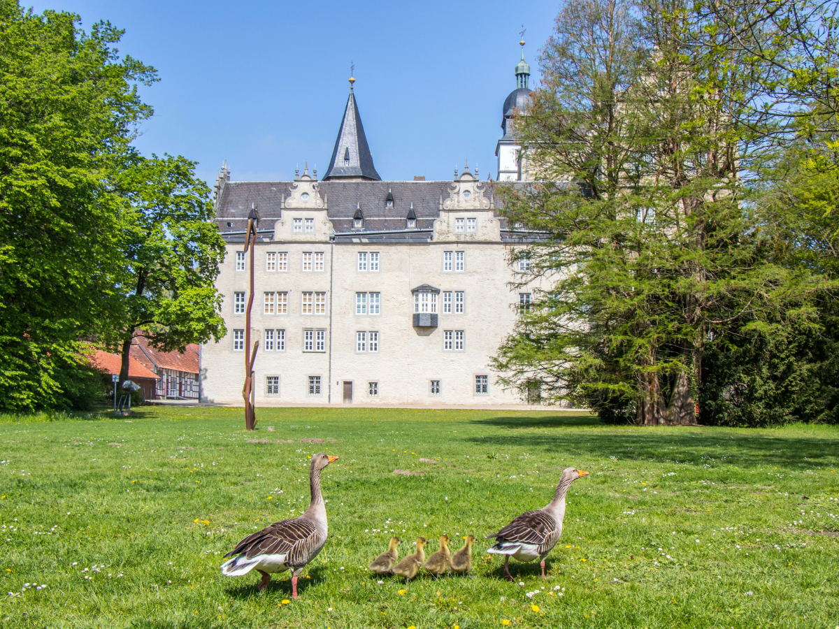 Schloss Wolfsburg - endlich als Puzzle.