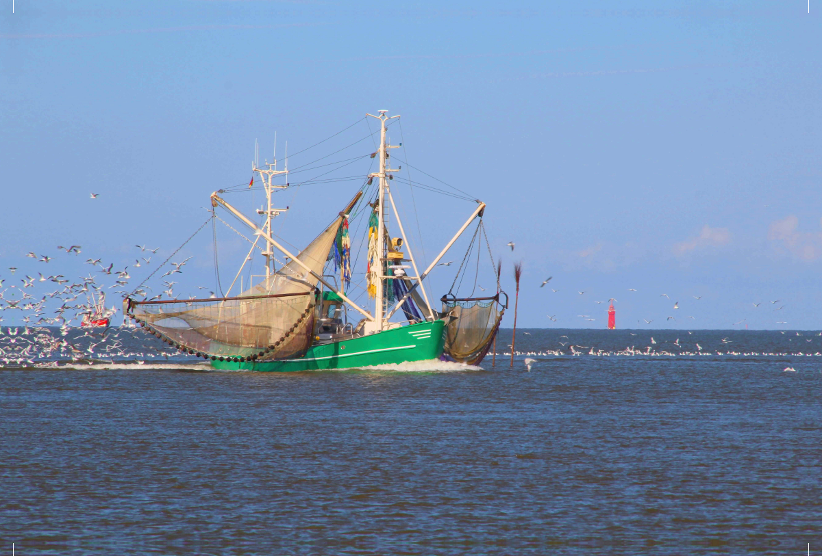 Fischkutter bei Fedderwardersiel