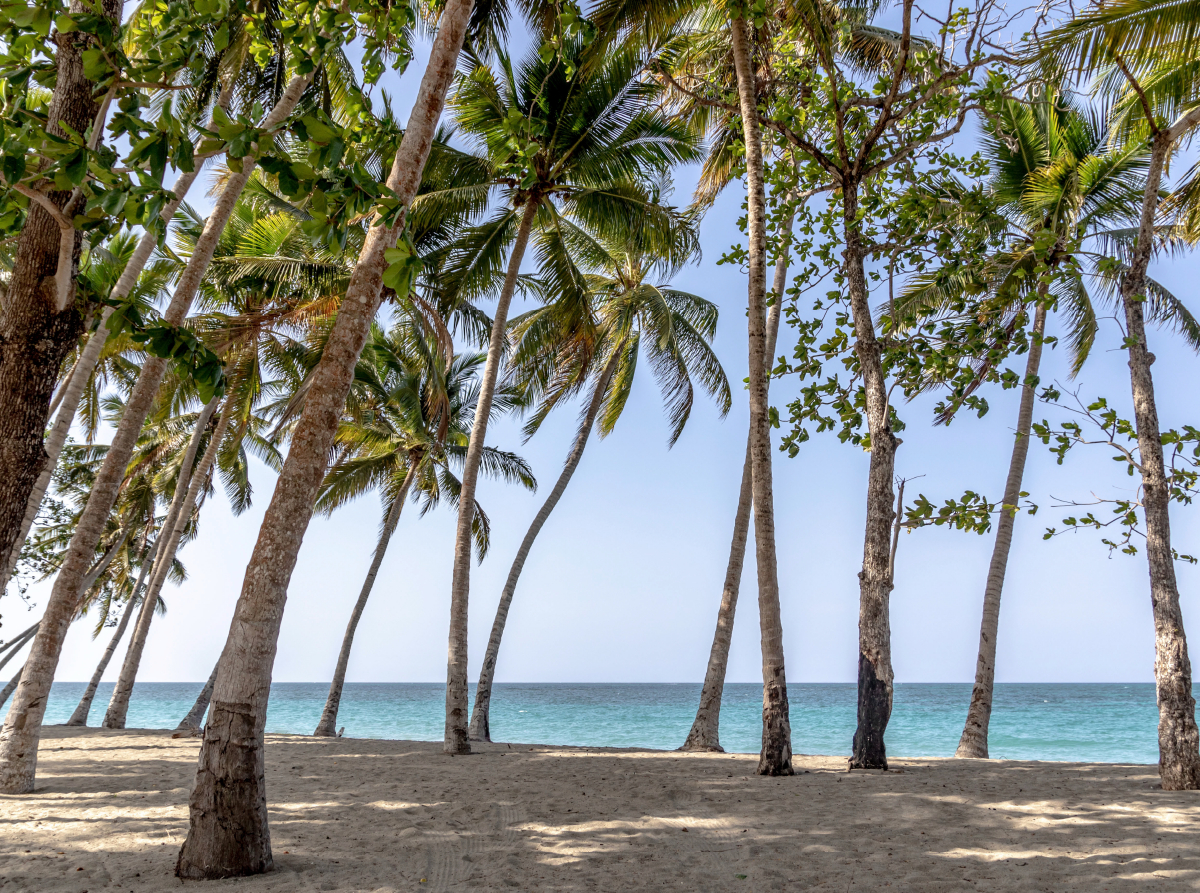 Playa Rogelio