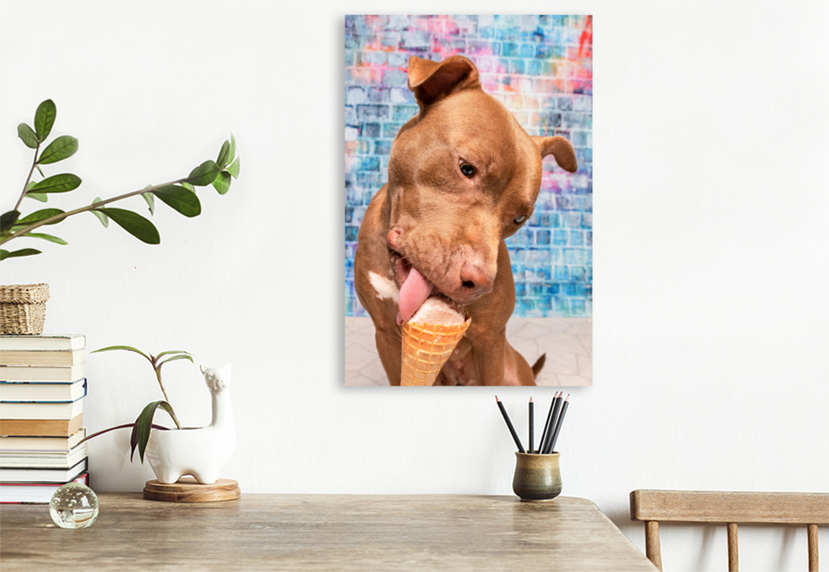 Auch ein Pitbull liebt Eis