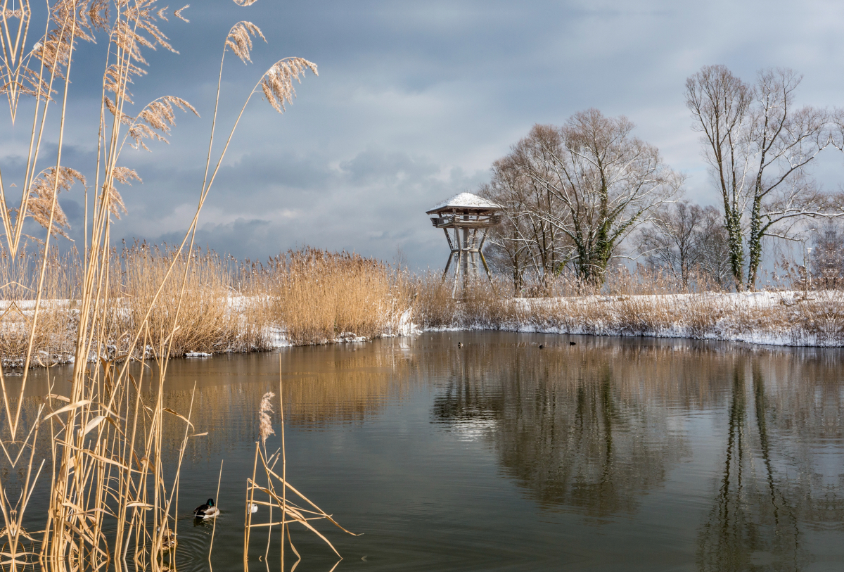 Seeburgpark und Seeburgturm in Kreuzlingen am Bodensee